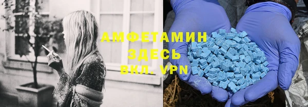 шишки Верея