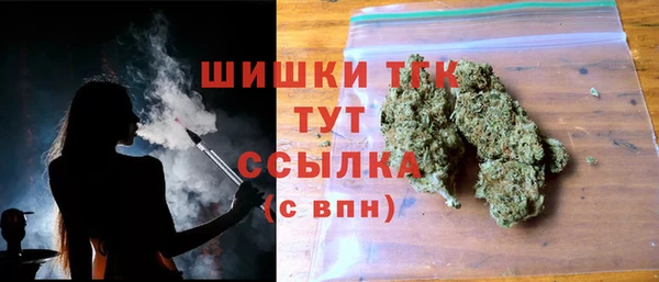 шишки Верея