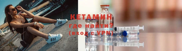 шишки Верея