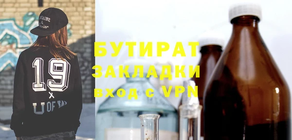 шишки Верея