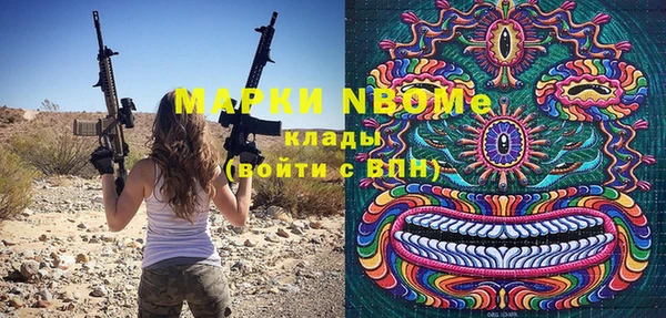 шишки Верея