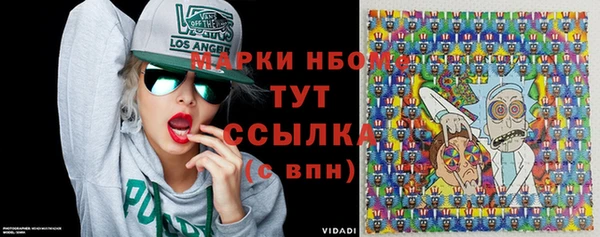 шишки Верея