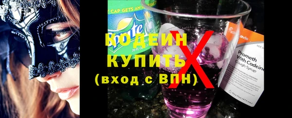 шишки Верея